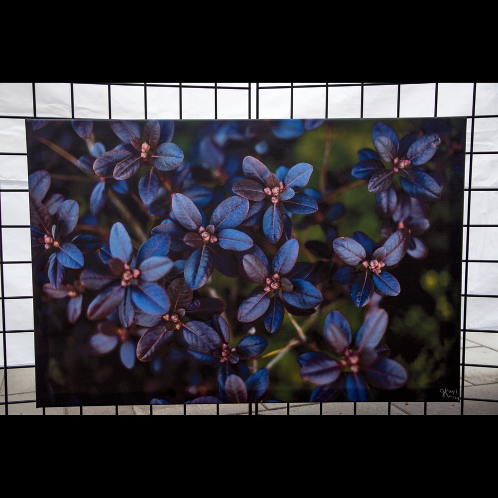 Purple Flowers Wall Print